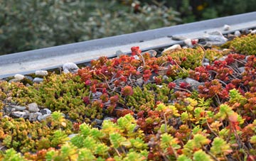 the cost of Steeple Barton green roof installation