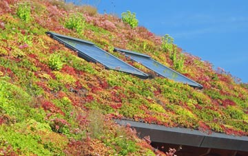 Steeple Barton living roof systems